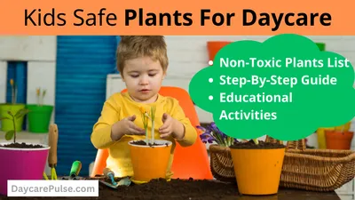 4 Easy Steps To Choose Kids Safe Plants For Daycare